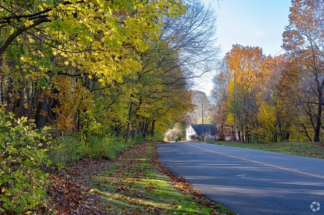 Brightly colored leaves signal that fall is coming to Downtown Massillon.