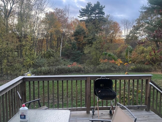 Back deck