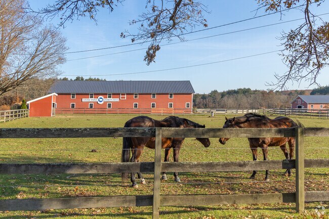 Stone Pony Farm has beautiful stables and abundant pastures.
