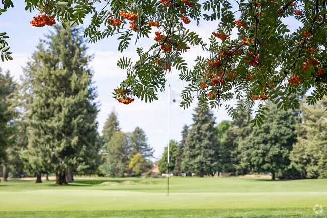 The beauty of Avondale Golf Club is truly unique.