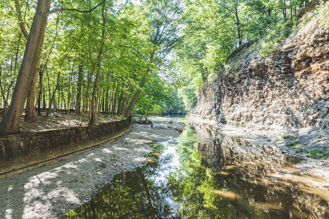 Brooklyn's Big Creek Reservation provides a peaceful and scenic retreat for nature lovers.