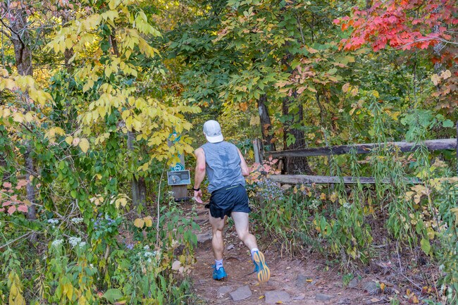 Mt Ruffner is a favorite place for jogging, near Penfield Park.