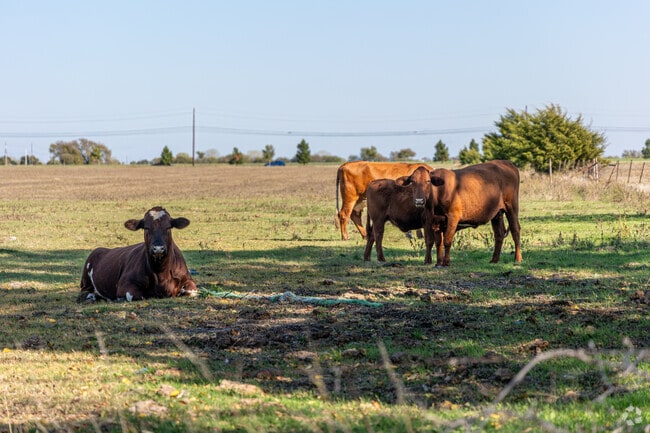 Many residents of Parker have farm animals in their back yards.