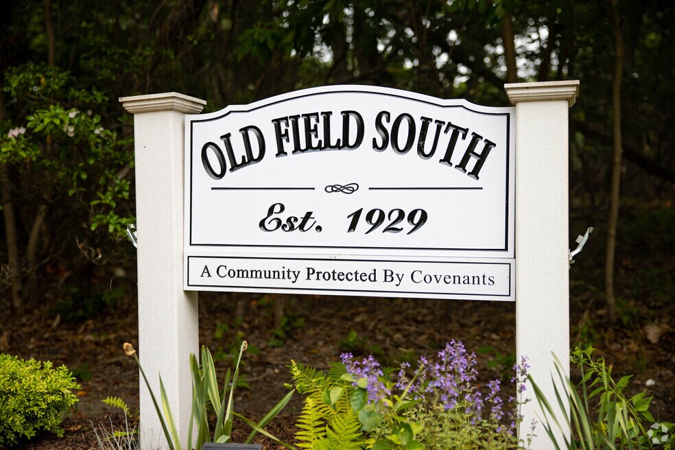 Neighborhood_Old Field_01_072123.mp4