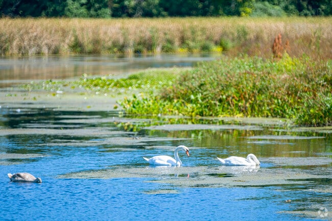 The public launch at Lake Norvell gives locals a taste of lake life just outside of Napoleon.