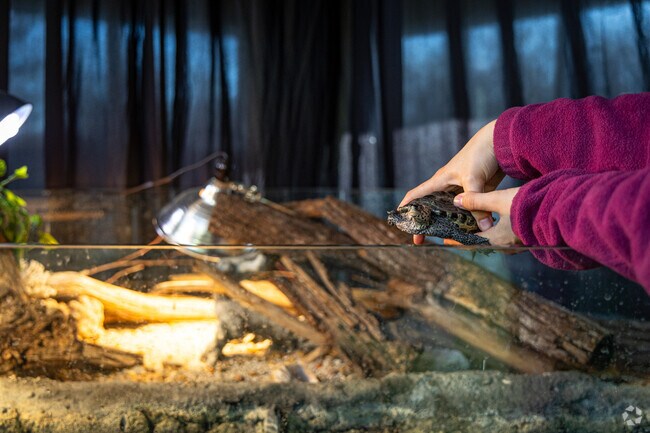 Irvine Nature Center offers free interactive programs for children & adults.