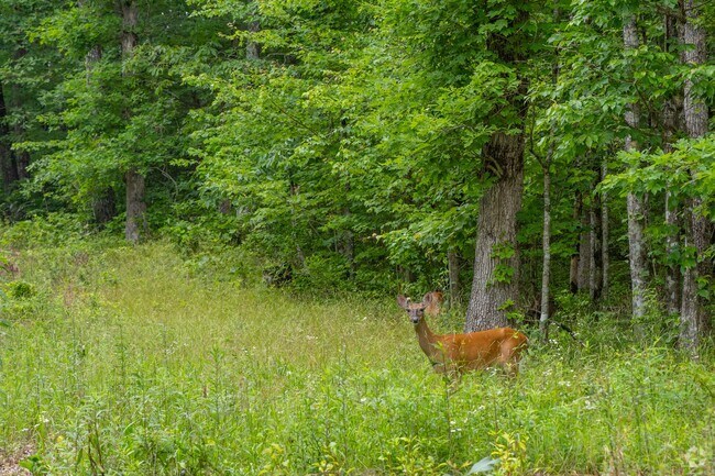 The Cagle-Fredonia area is very rural with plenty of wildlife.
