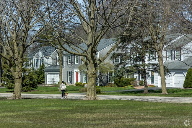 Large established trees near the rows of elegant homes offer shade in Barrington Hills.
