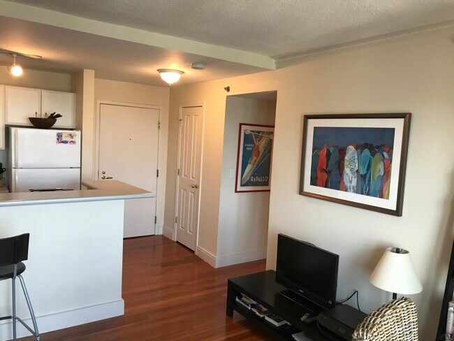 The Charlesview unit 1002, Boston, MA 02215 - photo 3