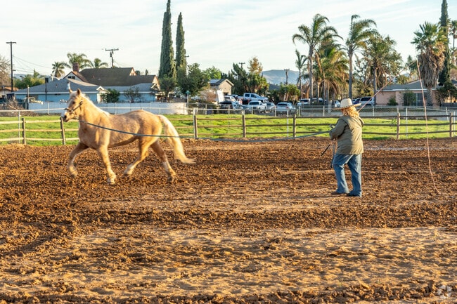 Horse arenas around Pedley provide ample opportunities for horse enthusiasts.