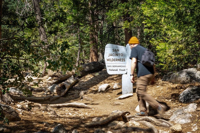 Take a hike in nature in the San Jacinto Wilderness near Idyllwild Mountain Park.