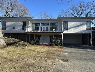 43 Fairgreen Place Unit SF, Chestnut Hill, MA 02467