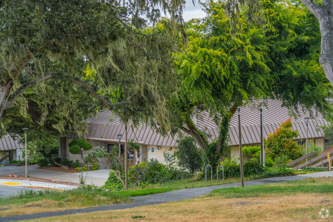 Foothill Public Elementary School in forest, Monterey, California.