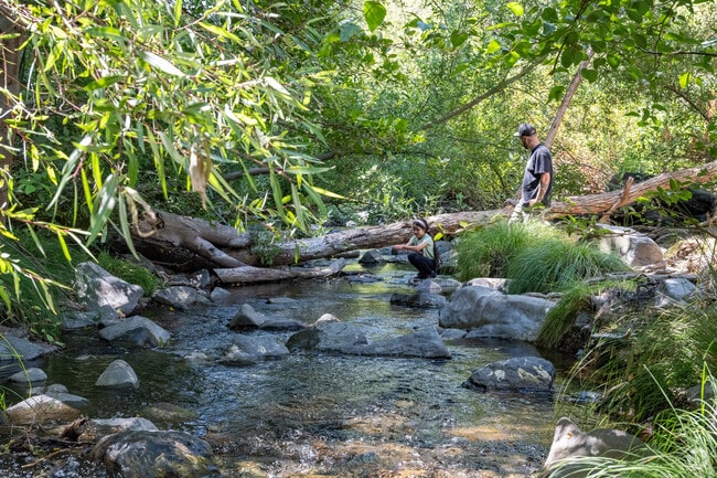 Santa Rosa Creek is a popular destination for shade and exploration in Proctor Terrace.