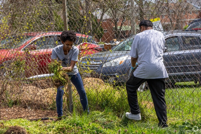 Practice your green thumb at City Farms Community Garden at Dewees Park.