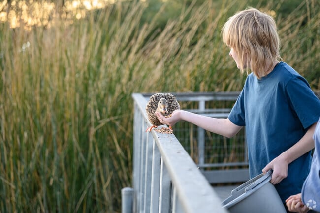 Locals love Southwest Gilbert for its local amenities and quality of life.