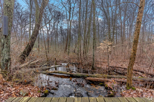 View of Cranberry Pond in the woods of Braintree, MA.