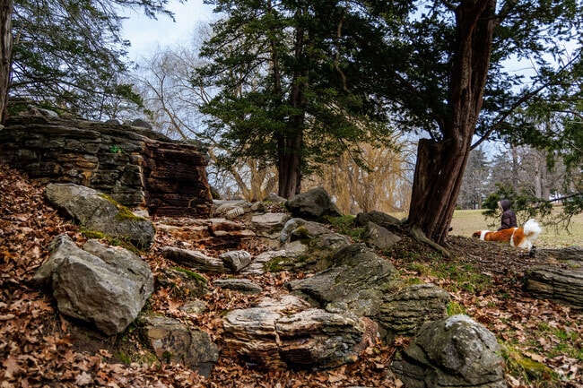 Come take Fido out for a walk in Upper Onondaga Park in Southside.