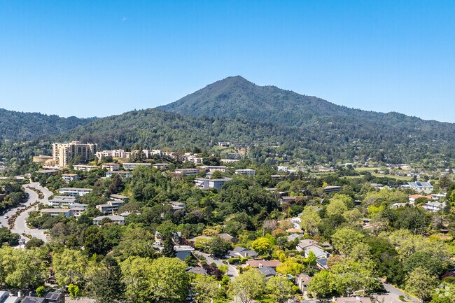 Mt Tam can be seen in the distance overlooking Larkspur.