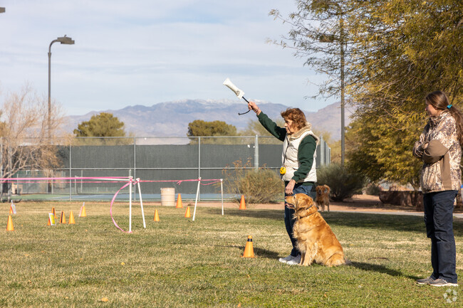 Local dog clubs and organizations visit Patriot Park for training sessions near Woodcrest.