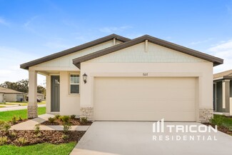 7107 Amelia River Dr, Parrish, FL 34219
