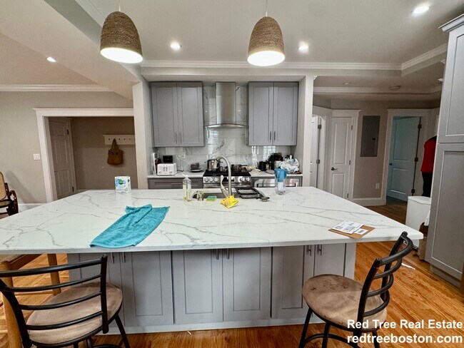 68 Manet Rd unit 1, Chestnut Hill, MA 02467 - photo 6