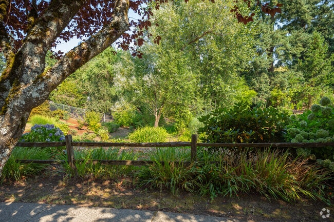 Green space provides a bit of nature on a walk through the Village at Fisher's Landing.