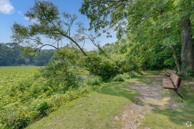 Woods Pond Park in Woods Pond offers outdoor bench seating for residents to enjoy a scenic view.