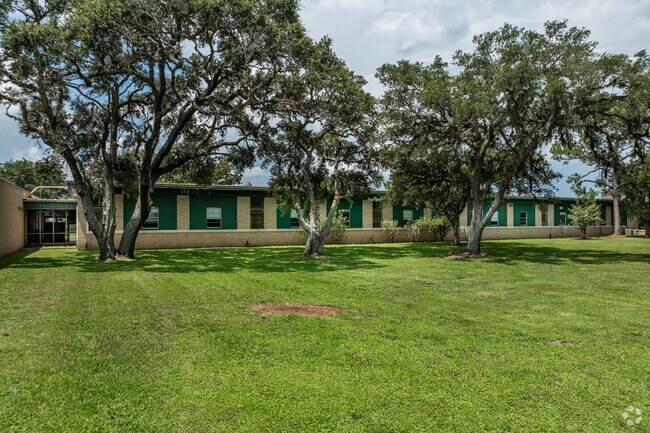Many mature oak trees line the campus of S.F. Austin Elementary.