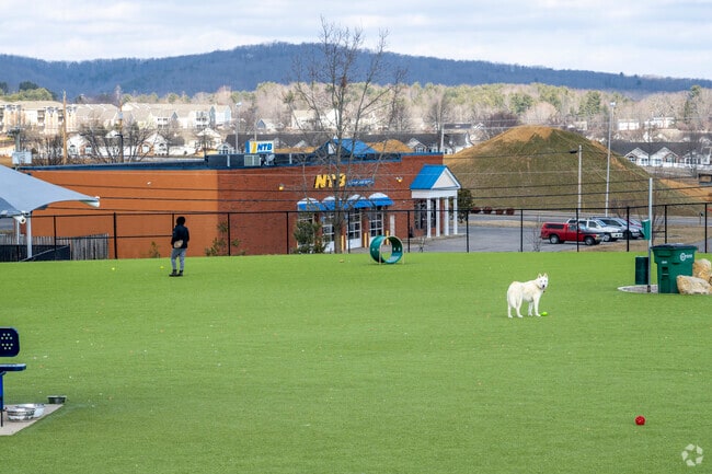Huckleberry Park has a large dog park, playing fields and is connected to the Huckleberry Trail.