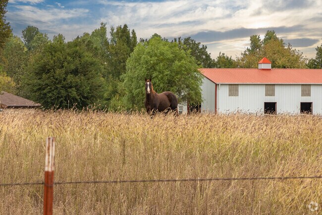 Spring Meadows has plenty of prairie and land for all sorts of animals to graze.