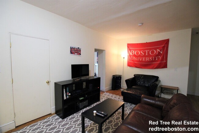 316 St Paul St unit 3, Brookline, MA 02446 - photo 4