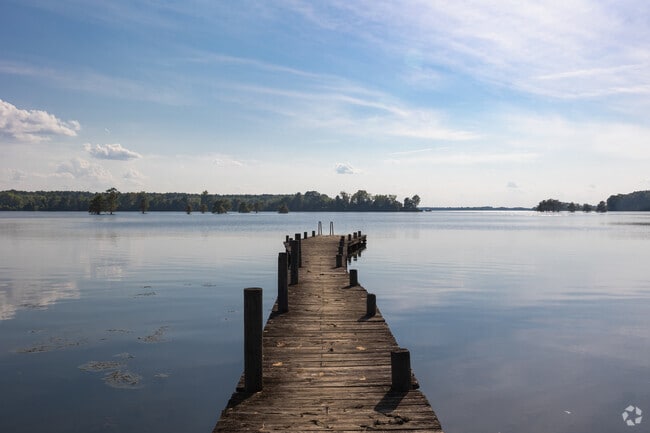 Discover the beauty of Lake Marion near St. Stephen,  SC.