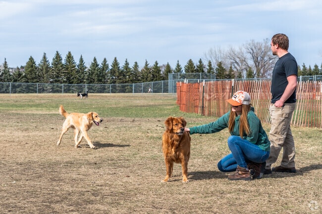 North Hills dog owners enjoy watching their dogs run at the Century Recreation Area Bark Park.