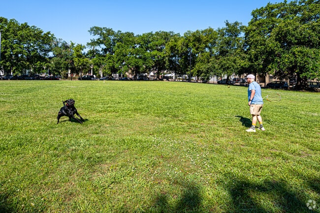 Play fetch with your dog at Burke Playground.