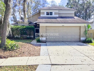 2303 Needham Dr, Valrico, FL 33596