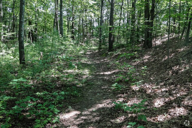 There is a short hiking trail located in Green Acres.