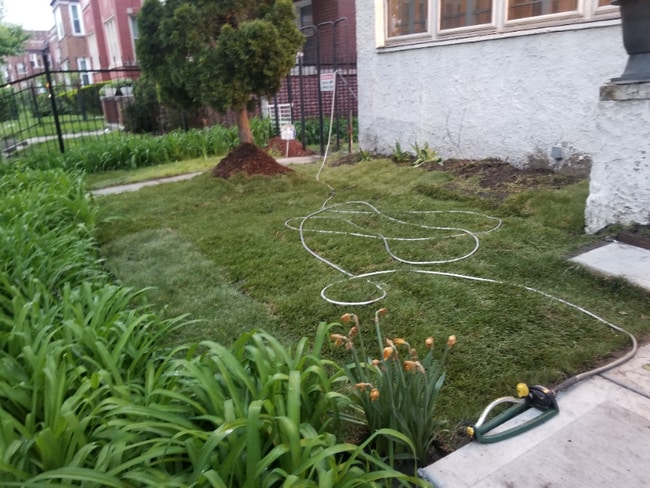 7330 S Yates Blvd unit 1, Chicago, IL 60649 - photo 3