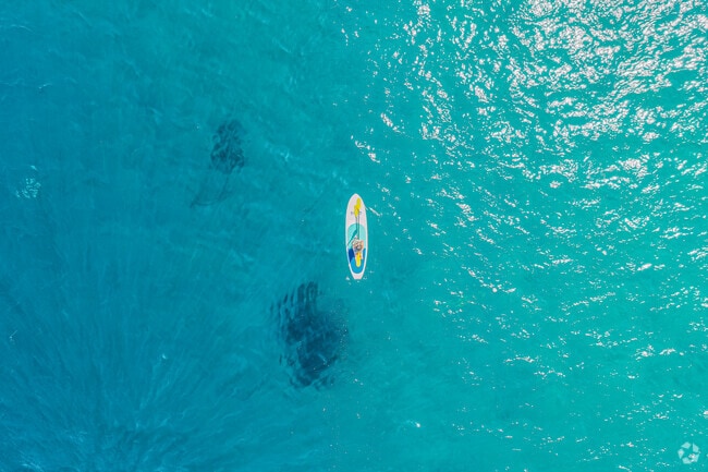 Kayaking, paddle boarding, and swimming are common in Avalon Bay.