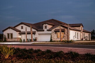 1986 Webbstone Way Unit 38012940, Zephyrhills, FL 33541