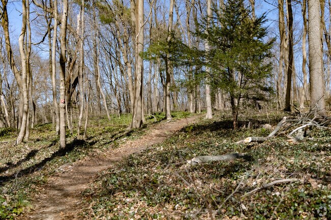 Leeds Pond Preserve in Plandome Manor is approximately 21.4 acres in size next to Manhasset Bay.