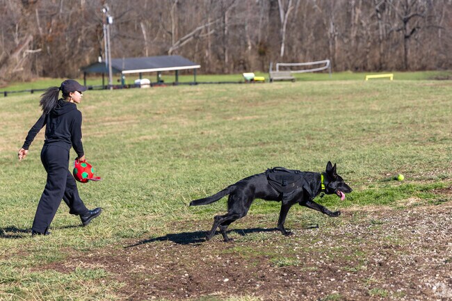 Jacobson Dog Park is almost 8 acres divided into 2 paddocks.