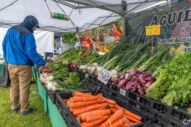 Auburn Farmers Market in South Auburn is a great way to spend your Sunday morning.