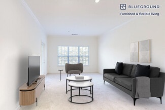 80 N Central Ave Unit FL1-ID3057A, Hempstead, NY 11570