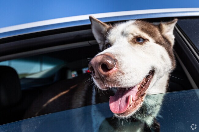 Pet owners will find a few green spaces in the Power & Light District MO.