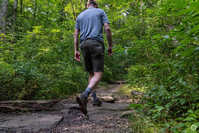 Enjoy a hike through Hopemead State Park in Bozrah.