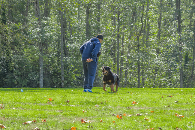 Alderton Park features plenty of open space to play with your dog.