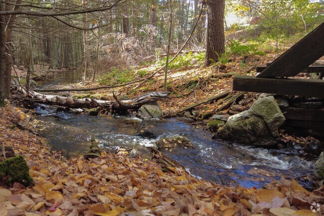 Pelham's rural setting gives room for flowing creeks throughout town.