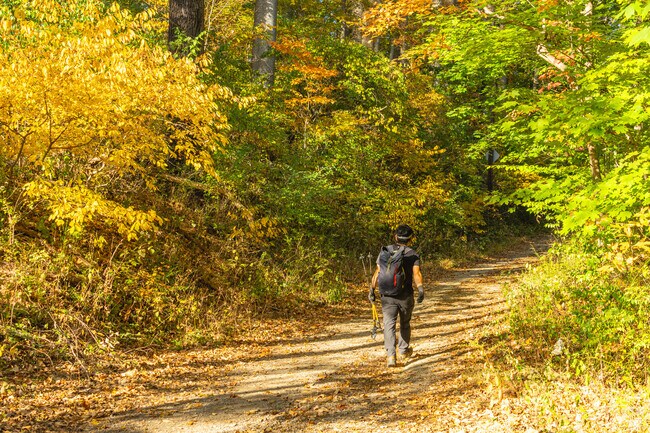 White Clay Creek State Park draws hikers from New London Township to its scenic trails.