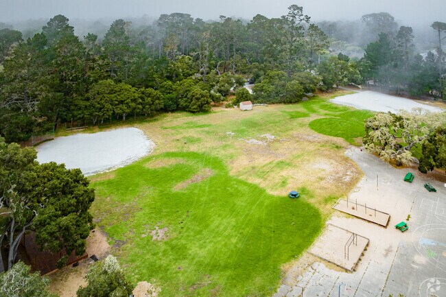 Community High School nestled in the forest in Pacific Grove, California.